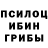 Галлюциногенные грибы Cubensis damn.adamdriver