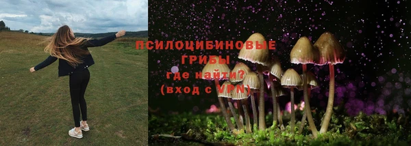 таблы Гусиноозёрск