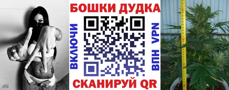 где купить Иркутск Шишки марихуана MAZAR